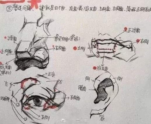 素描頭像造型,比例,光影,明暗的重要性